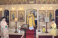 Божественная литургия в Неделю о мытаре и фарисее